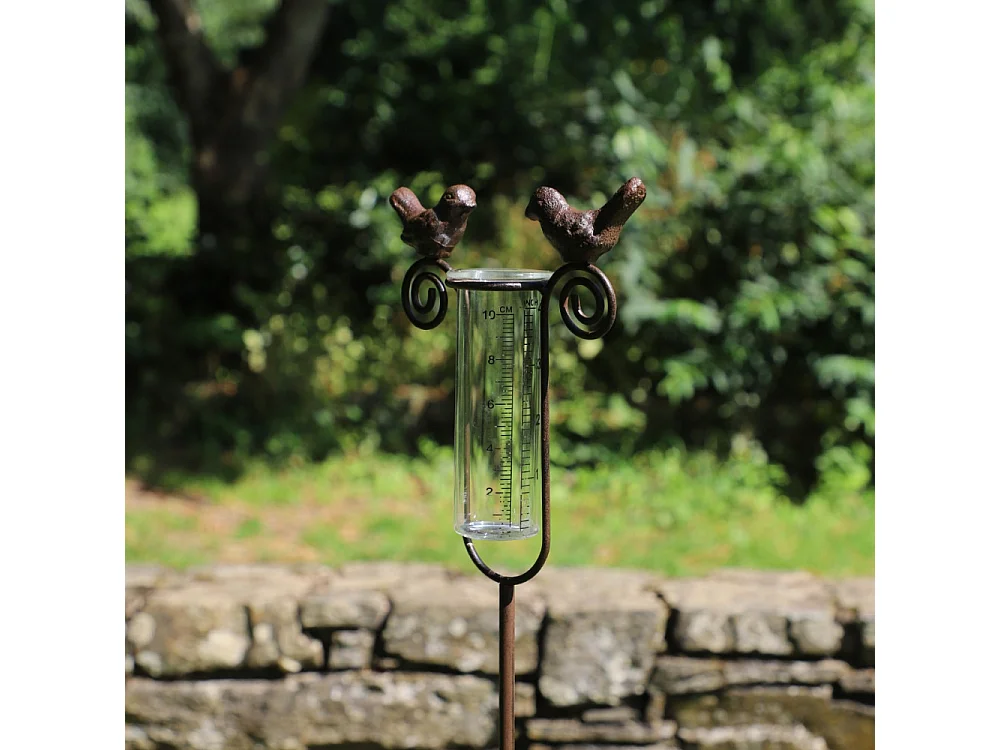 Tuteur plante grimpante pluviomètre à piquer fonte verre marron 100 cm