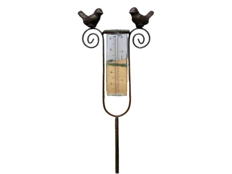 Tuteur plante grimpante pluviomètre à piquer fonte verre marron 100 cm