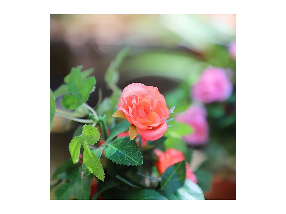 Rosier plante fleur artificielle extérieur cimetière tissu corail 23cm