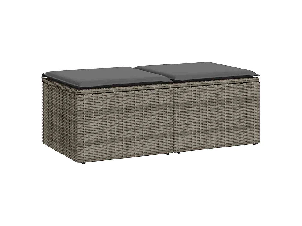 Salon de jardin 2 pcs avec coussins gris résine tressée acacia