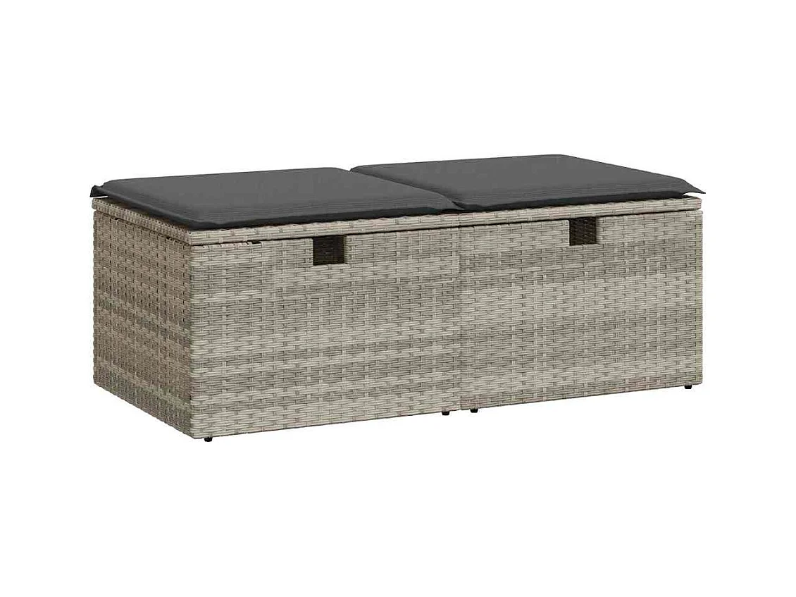 Salon de jardin 2 pcs avec coussins gris clair polyrotin acacia