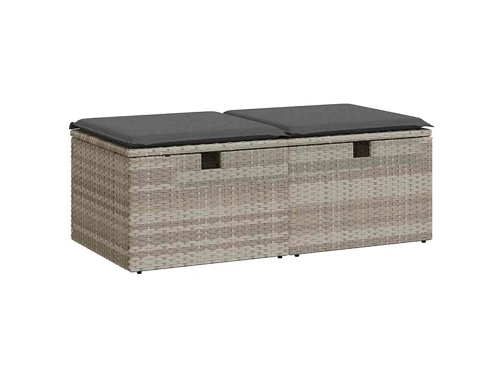 Salon de jardin 2 pcs avec coussins gris clair polyrotin acacia