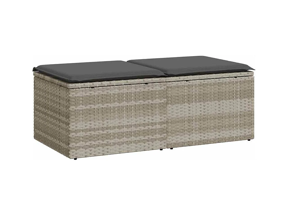 Salon de jardin 2 pcs avec coussins gris clair polyrotin acacia