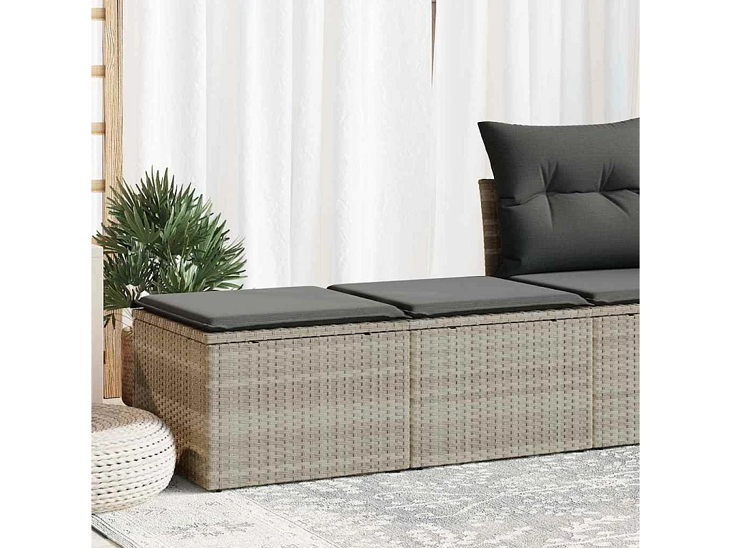 Divano Giardino 2pz con Cuscini Grigio Chiaro Polyrattan Acacia
