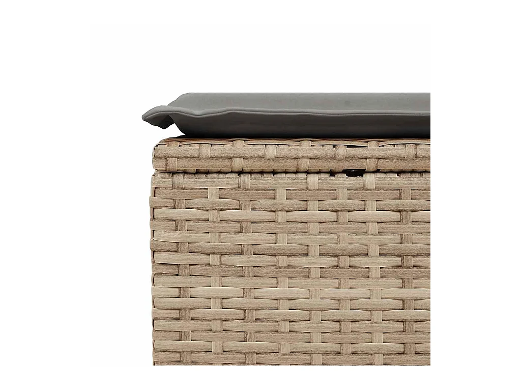 2-tlg. Garten-Sofagarnitur mit Kissen Beige Poly Rattan Akazie