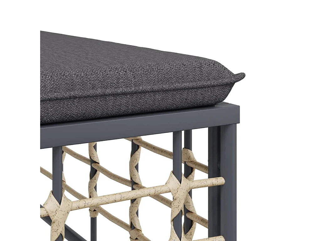 9-delige Loungeset met kussens poly rattan antracietkleurig