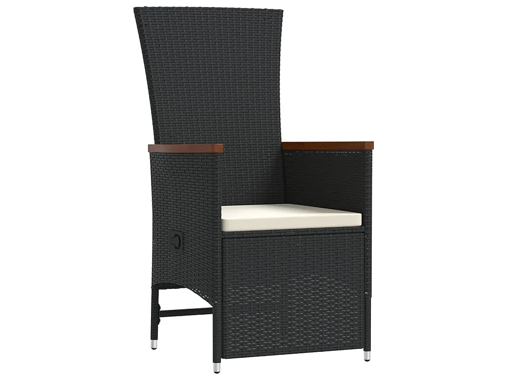 11-tlg. Garten-Essgruppe mit Kissen Schwarz Poly Rattan