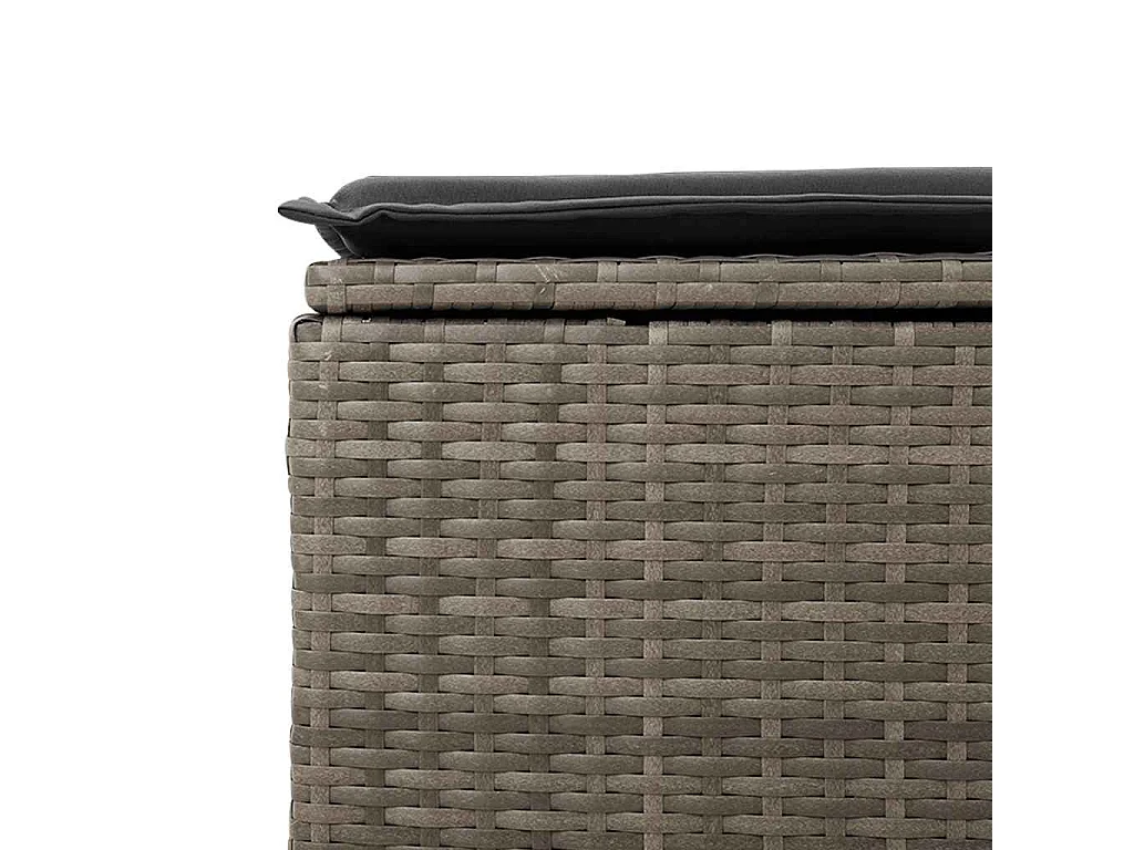 Salon de jardin 2 pcs avec coussins gris résine tressée acacia