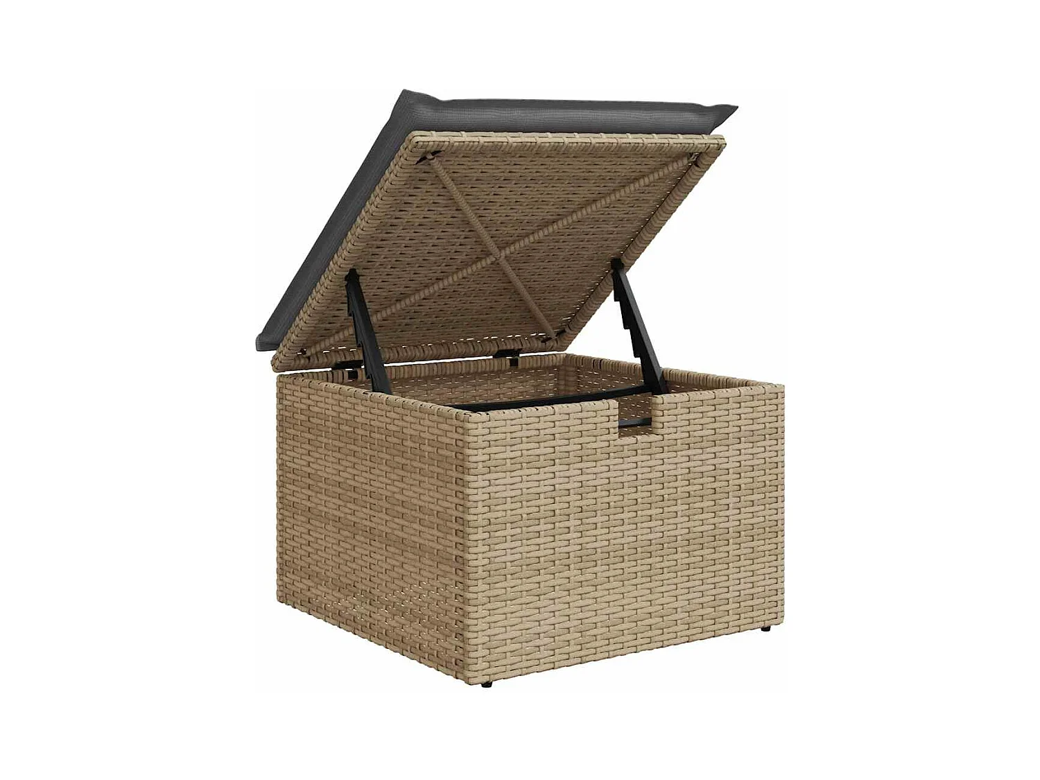 Salon de jardin avec coussins 2 pcs beige résine tressée acacia