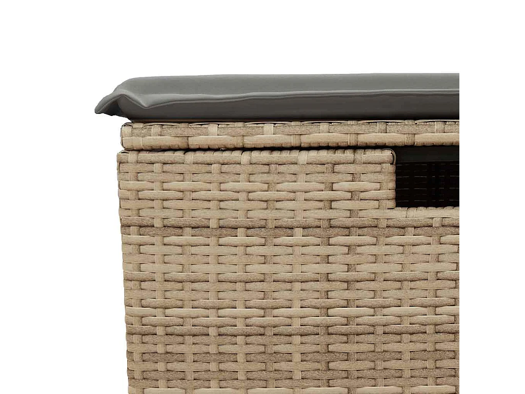 Salon de jardin avec coussins 2 pcs beige résine tressée acacia