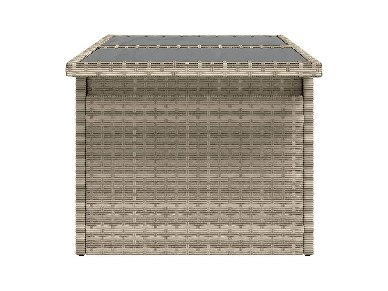Table de jardin dessus en verre gris clair 100x55x73 cm rotin