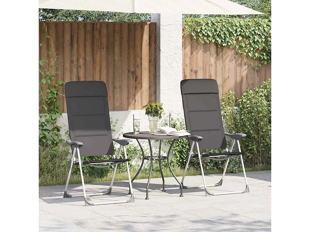 Chaise de camping lot de 2 Gris 58x69x111 cm Aluminium