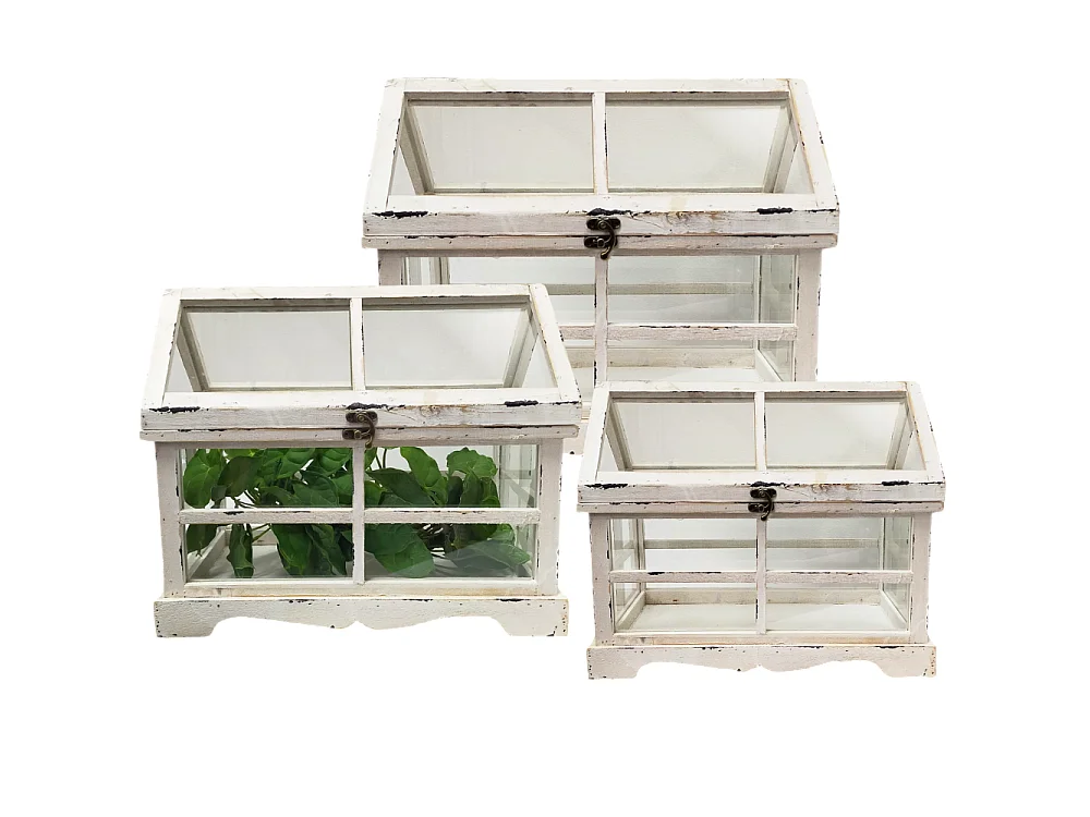 Set de 3 mini serres d'intérieur en bois blanc et verre