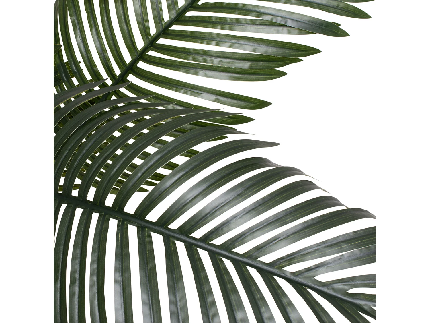 Kentia 210 - Plante Artificielle Tropicale Kentia H210 cm pour l'intérieur et l'extérieur avec pot Beige