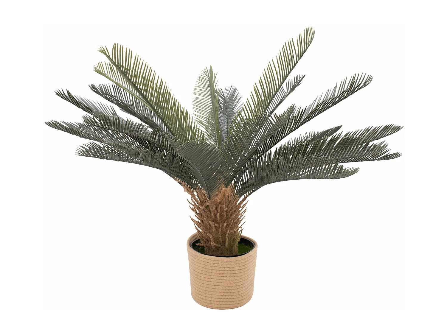 Cycas 85 - Plante Tropicale Artificielle Décorative Cycas H85 cm pour Intérieur Extérieur avec Pot Beige