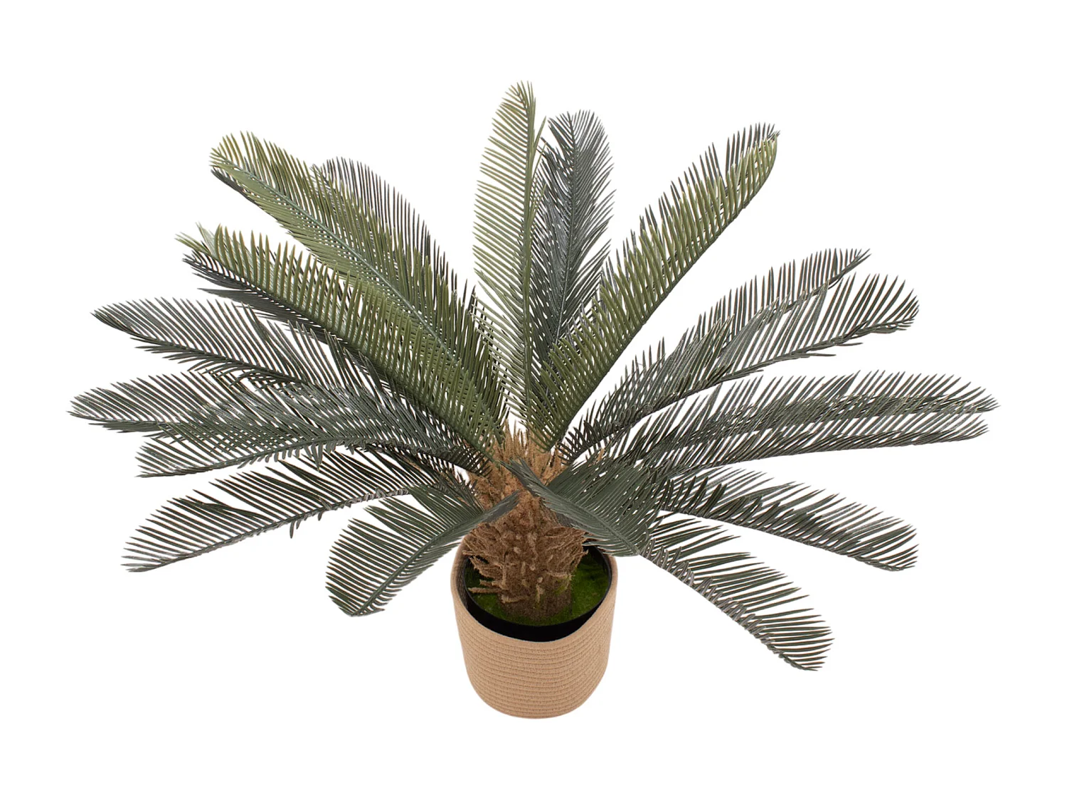 Cycas 85 - Plante Tropicale Artificielle Décorative Cycas H85 cm pour Intérieur Extérieur avec Pot Beige