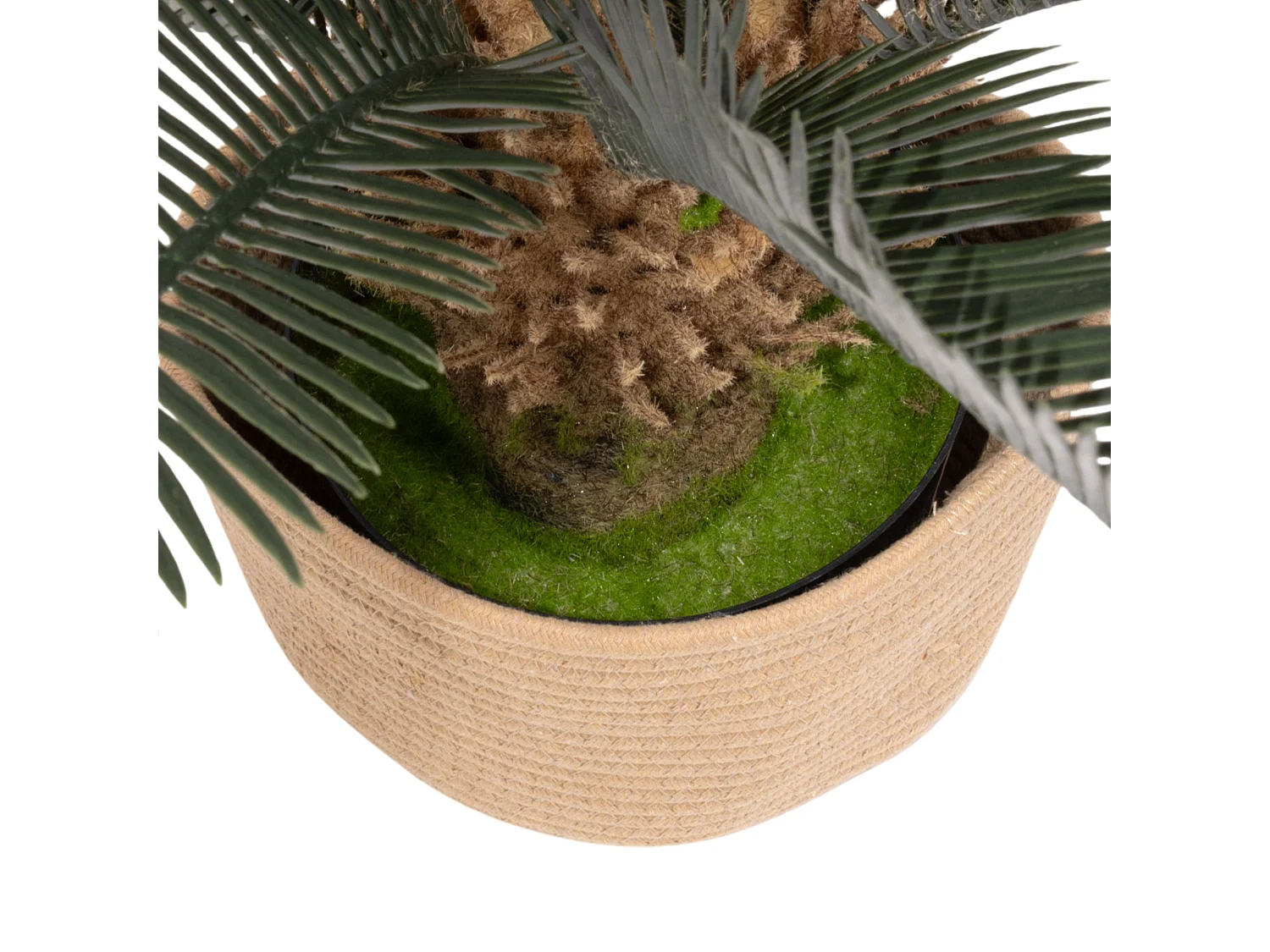 Cycas 85 - Plante Tropicale Artificielle Décorative Cycas H85 cm pour Intérieur Extérieur avec Pot Beige