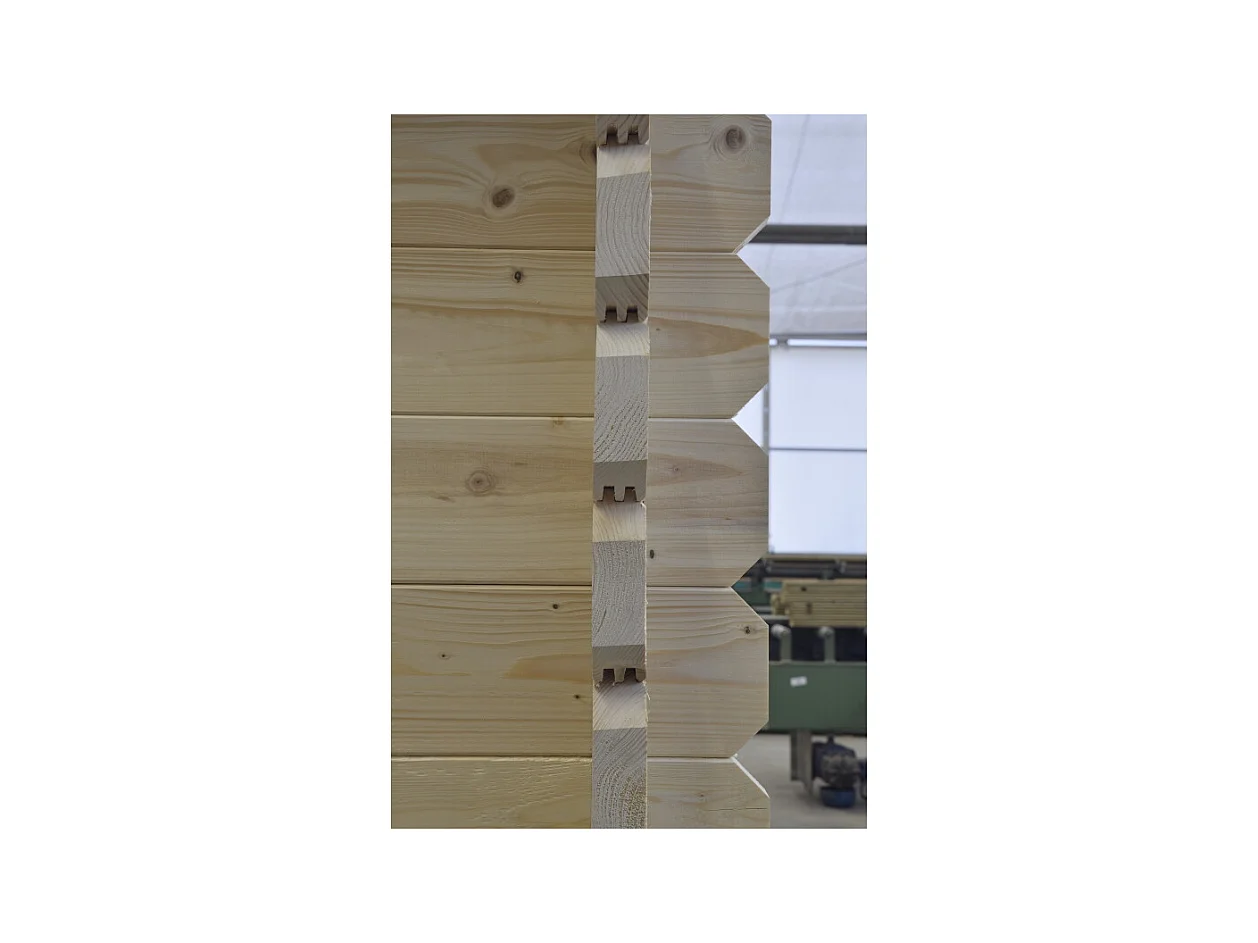 Abri de jardin en bois - 30m2 - 6x5m - Ep. 40mm - Couleur: naturel - DOM747 - ALTANKA