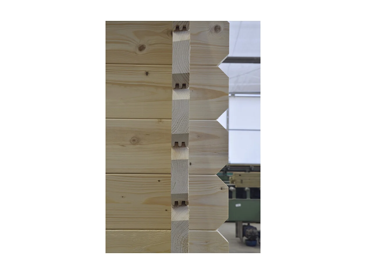 Abri de jardin en bois - 30m2 - 6x5m - Ep. 40mm - Couleur: naturel - DOM747 - ALTANKA