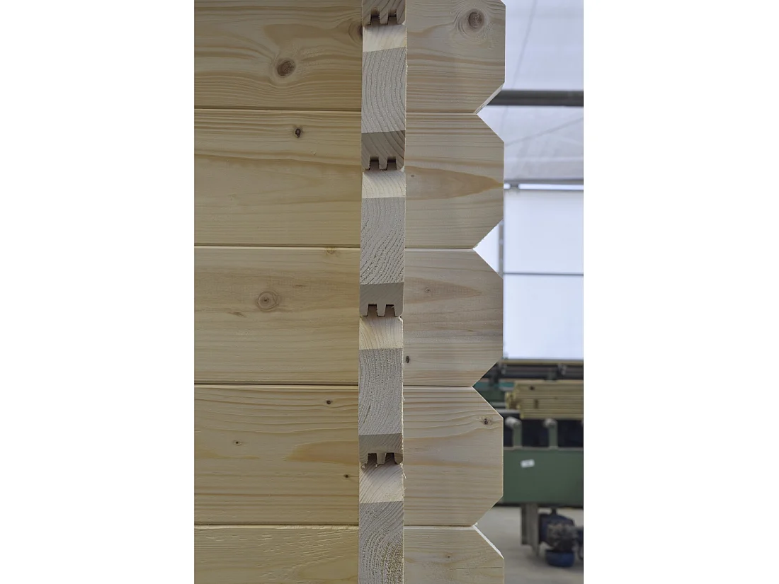 Casetta da giardino in legno - 30m2 - 6x5m - 40mm - colore: naturale - DOM747 - ALTANKA
