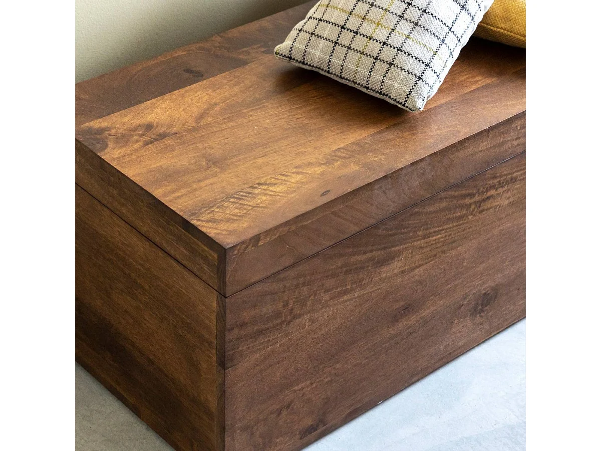 Pecho banco en madera de mango Nyssa