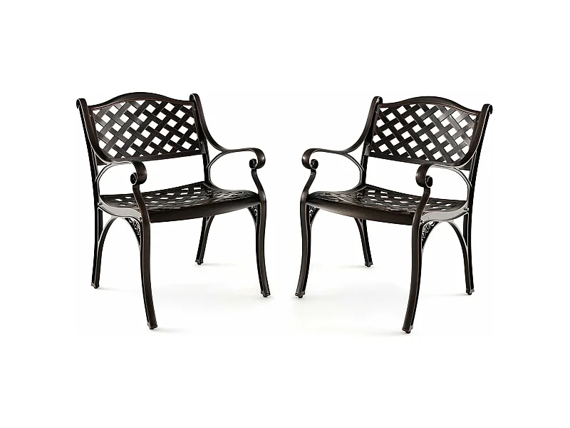 Set van 2 tuinstoelen van gegoten aluminium, weerbestendige terrasstoelen met armleuningen, balkonstoelen voor tuin, balkon, achtertuin ZB33680