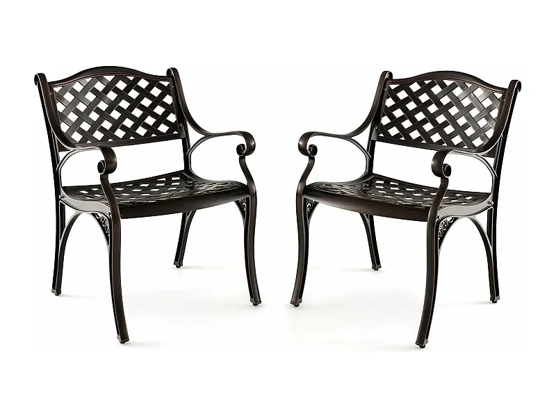 Set van 2 tuinstoelen van gegoten aluminium, weerbestendige terrasstoelen met armleuningen, balkonstoelen voor tuin, balkon, achtertuin ZB33680