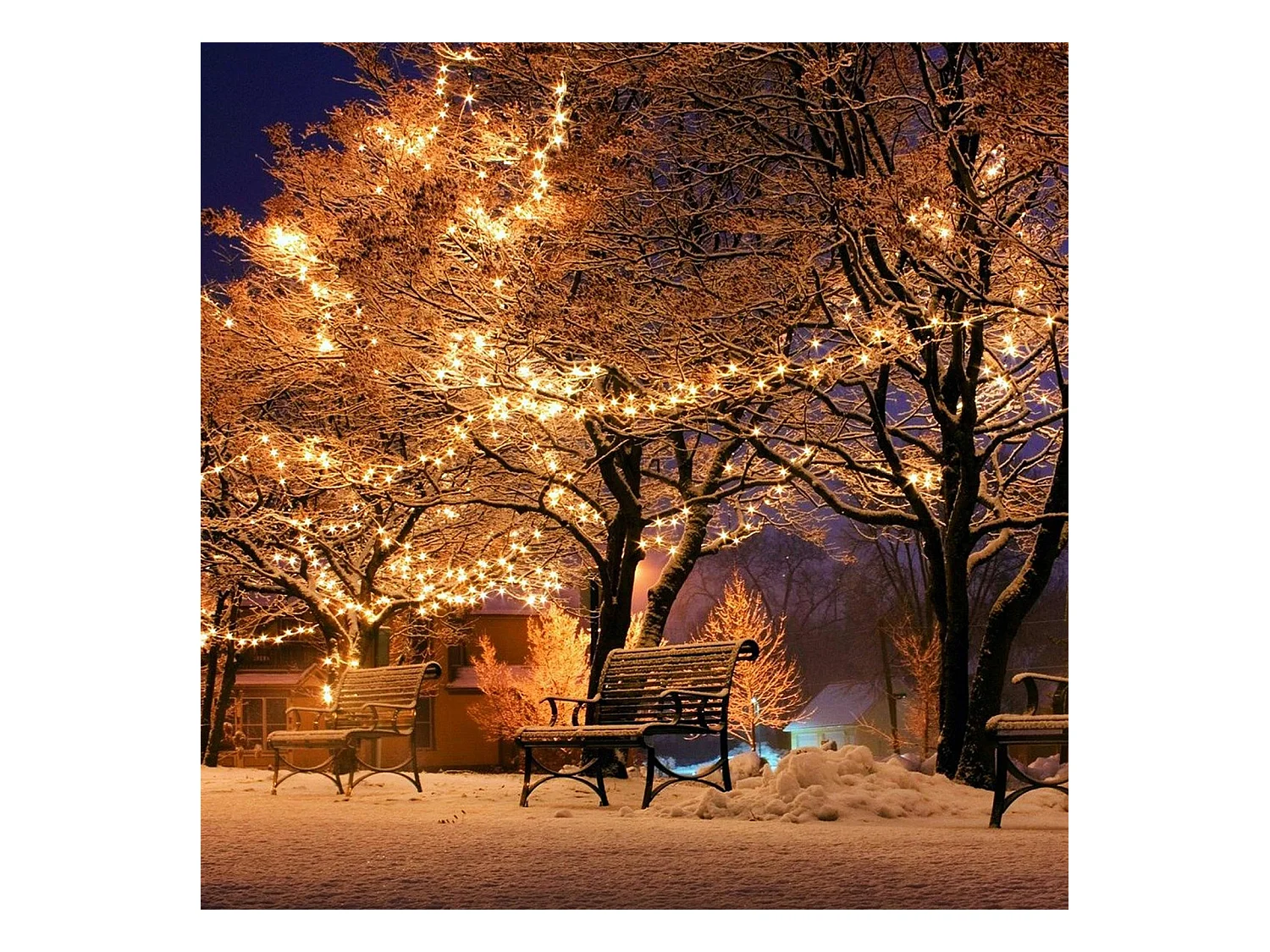 800 LED, lumière chaude LED, étanche, lumières de Noël, norme européenne, 80 mètres