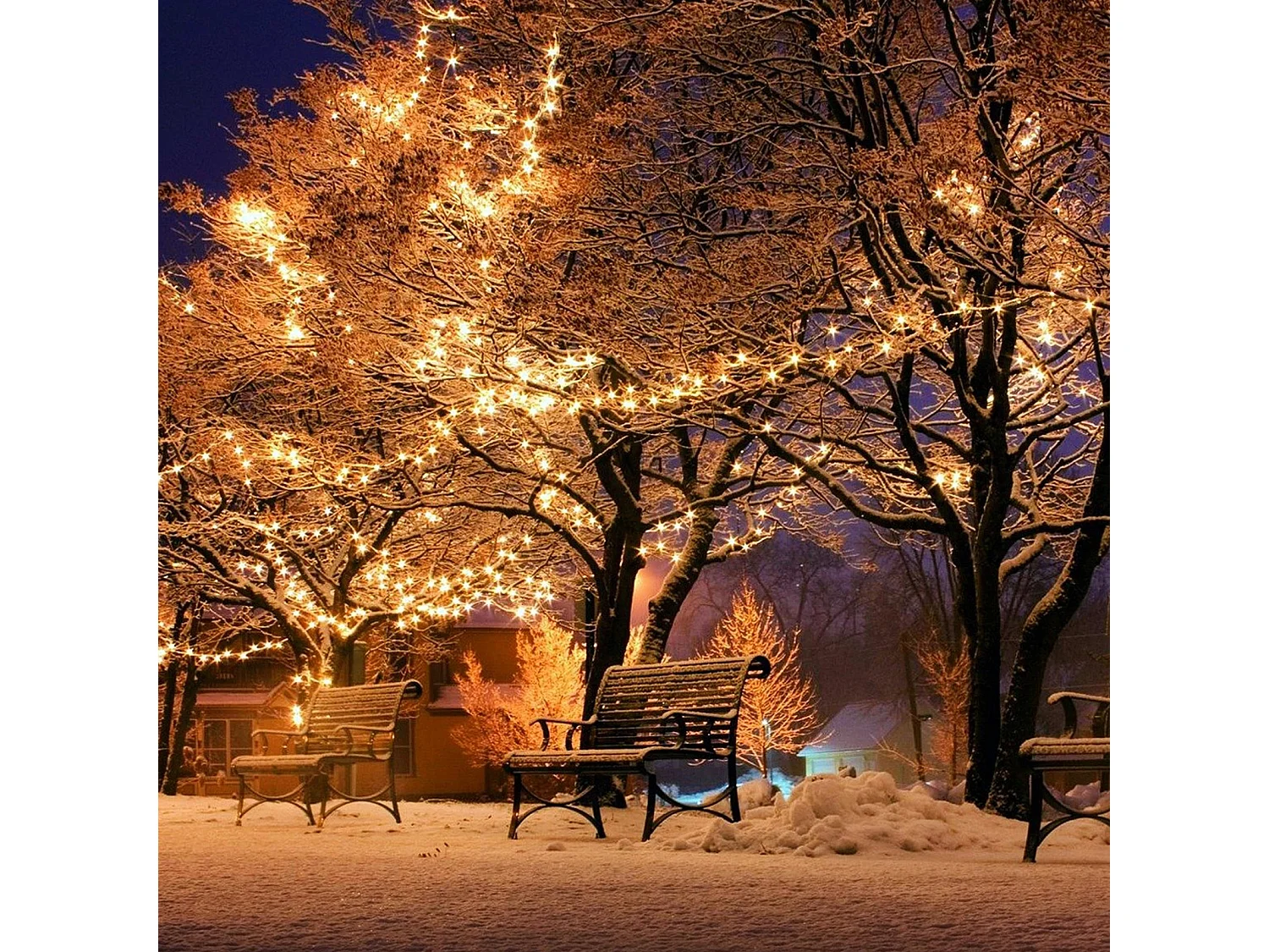 800 LED, luz quente LED, à prova d'água, luzes de Natal, padrão europeu, 80 metros