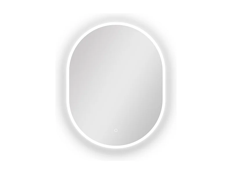 AICA Miroir de salle de bain ovale 60x80cm, mémoire + dimmable + anti-buée, IP44, 6000K blanc froid