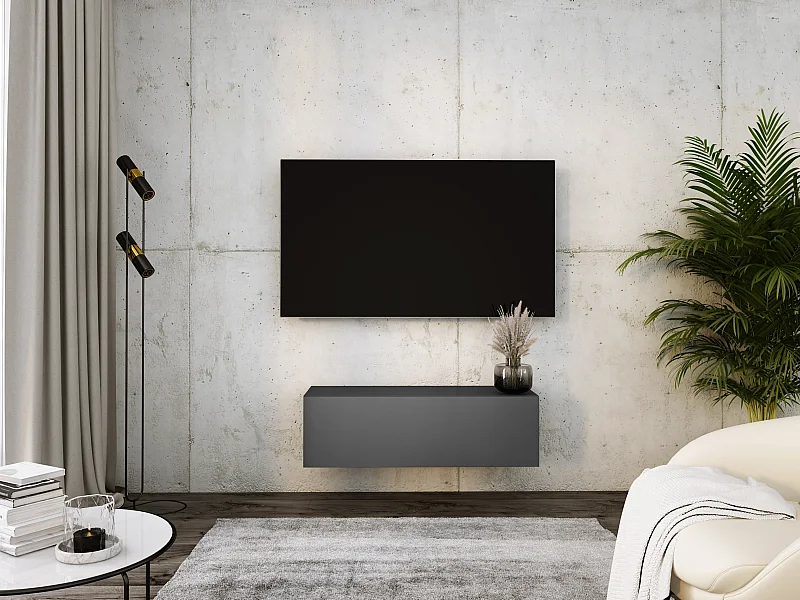 Meuble TV Suspendu, 100 x 34 x 32 cm, Anthracite