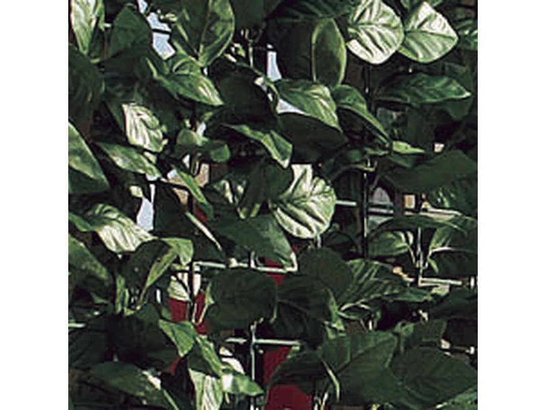 SETO ARTIFICIAL SQUAREHEDRA OCULTACIÓN MEDIA NORTENE 1.5X3 M