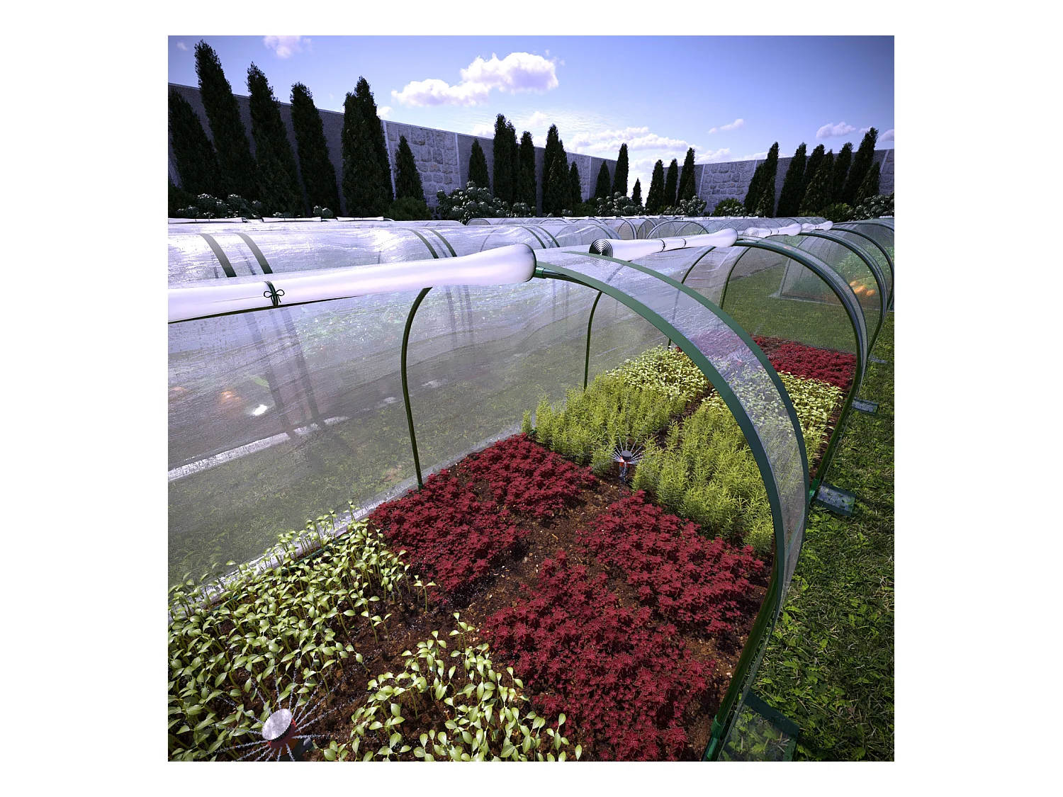 Serra A Tunnel in Acciaio Per Piante Fiori Orto Giardino Telo In PVC Trasparente Con 3 Porte Avvolgibili A Cerniera Protezione Piante Giardinaggio 295 x 100 x 80 Cm