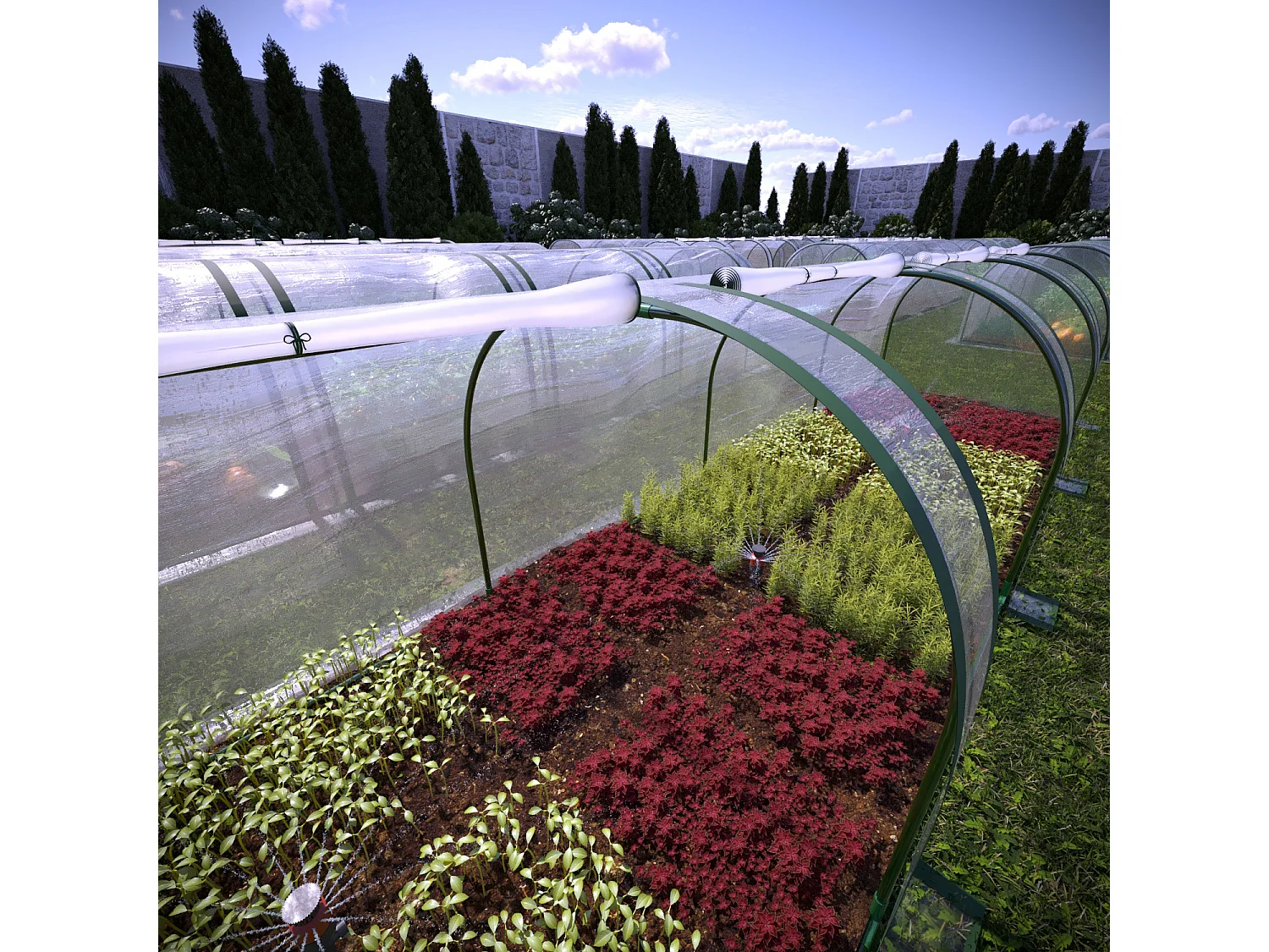 Serra A Tunnel in Acciaio Per Piante Fiori Orto Giardino Telo In PVC Trasparente Con 3 Porte Avvolgibili A Cerniera Protezione Piante Giardinaggio 295 x 100 x 80 Cm