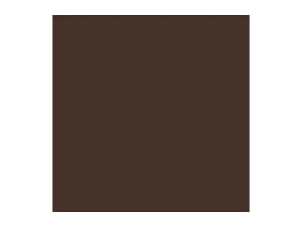 Abri de jardin marron 277x93x179 cm acier galvanisé