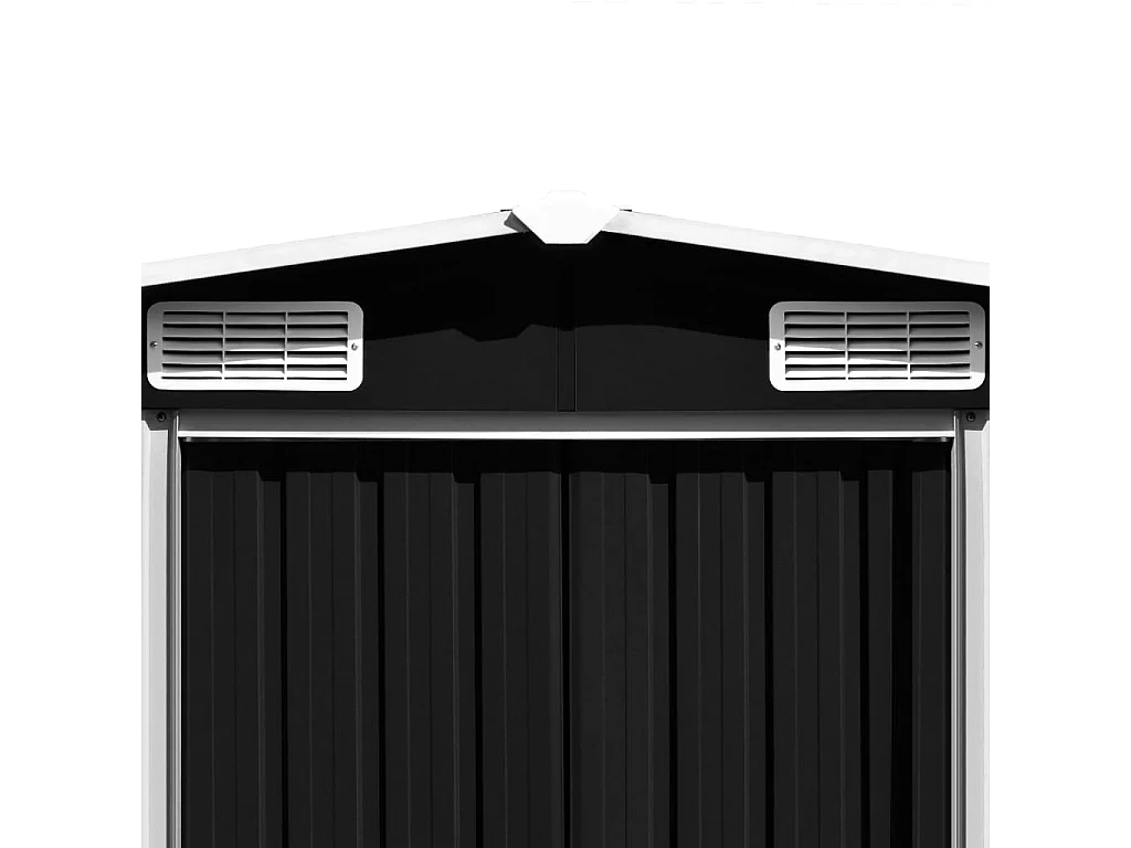 Abri de jardin Anthracite 257x779x181 cm Acier galvanisé