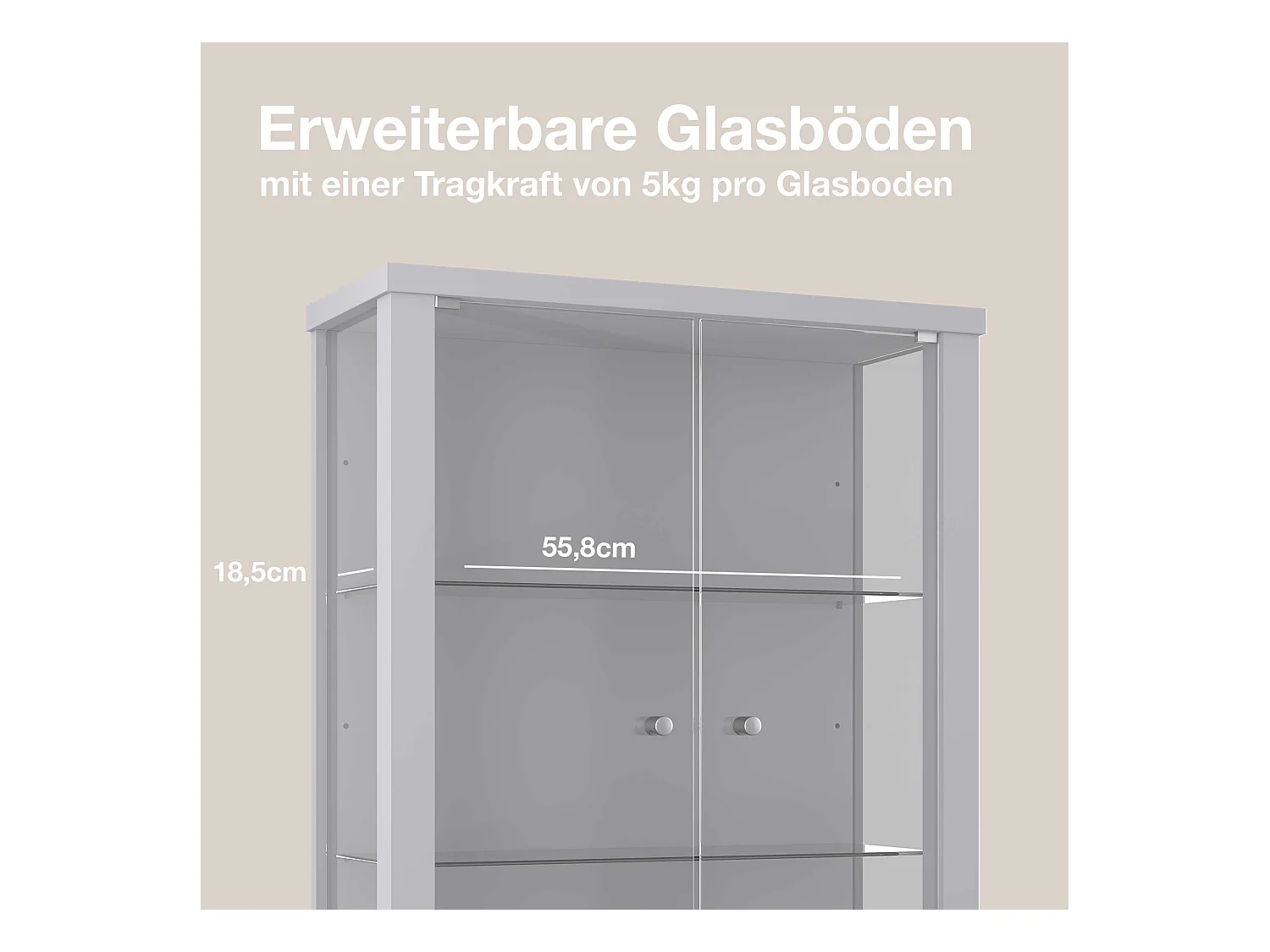 Hängevitrine mit 2 Türen & 2 Höhenverstellbaren Glasböden - 80x60x25 cm - Silberfarben