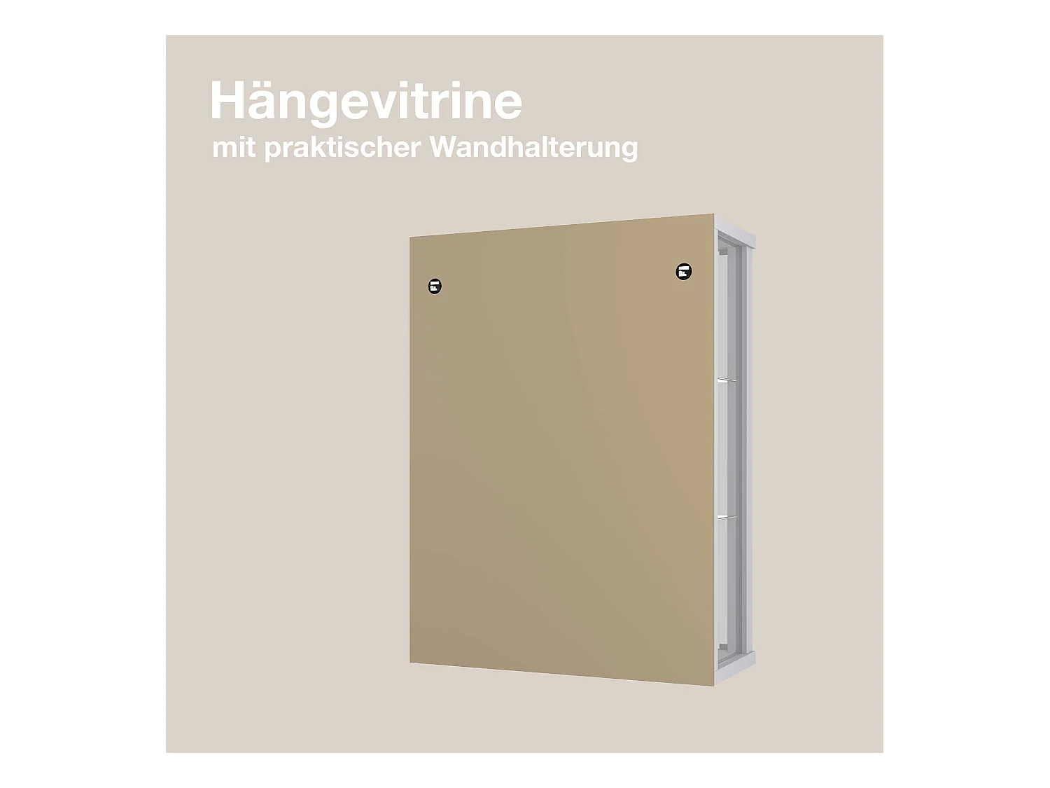 Hängevitrine mit 2 Türen & 2 Höhenverstellbaren Glasböden - 80x60x25 cm - Silberfarben