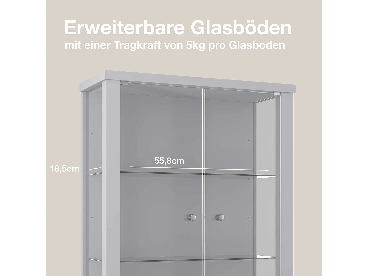 Vitrine suspendue avec 2 portes & 2 étagères en verre réglables en hauteur - 80x60x25 cm - Argenté