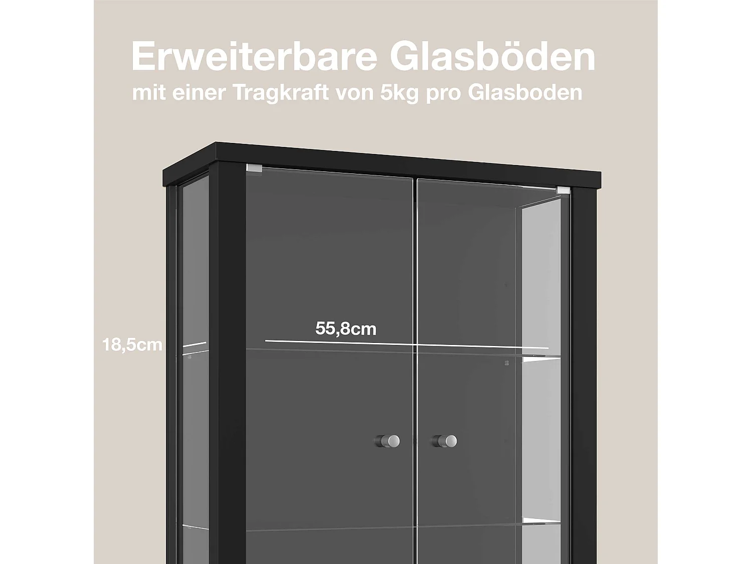 Vitrine suspendue avec 2 portes & 2 étagères en verre réglables en hauteur - 80x60x25 cm - Noir