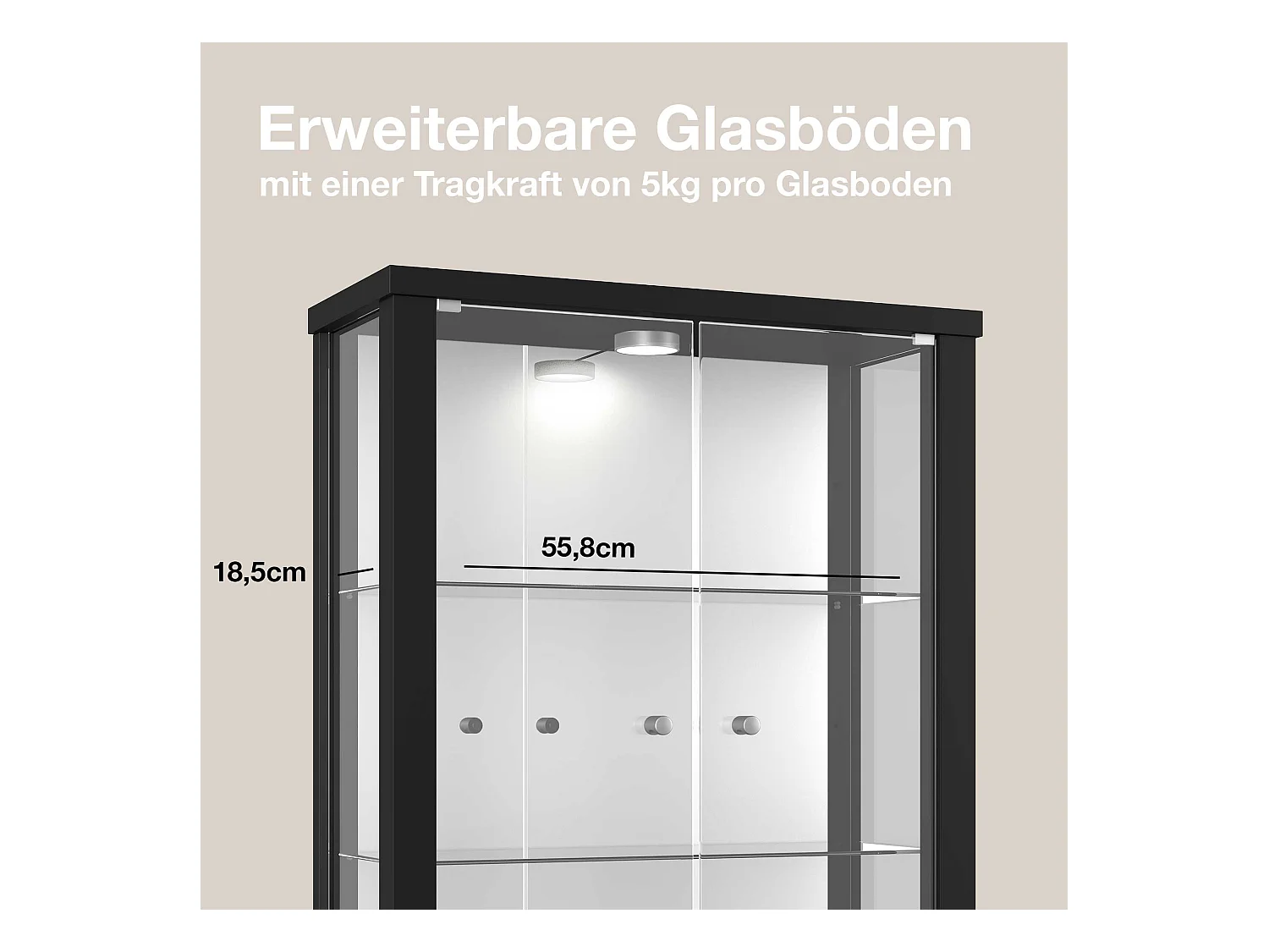 Hängevitrine mit 2 Türen, 2 Höhenverstellbaren Glasböden & Spiegel - Mit LED-Beleuchtung- 80x60x25 cm - Schwarz