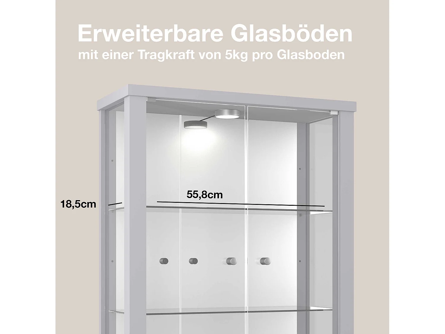 Vitrine murale avec 2 portes, 2 étagères en verre réglables en hauteur & miroir - Avec éclairage LED - 80x60x25 cm - Couleur argentée