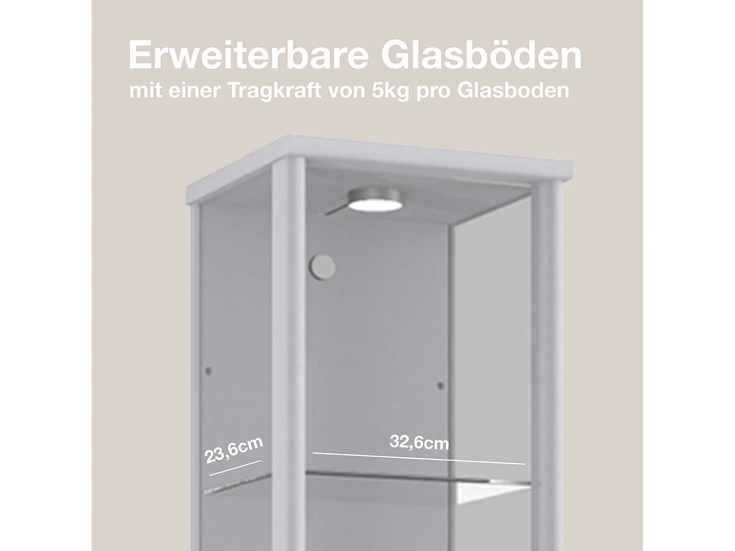 Vitrine sur pied avec 1 porte, 4 étagères en verre réglables en hauteur - Avec éclairage LED - 176x37x33 cm - Couleur argentée