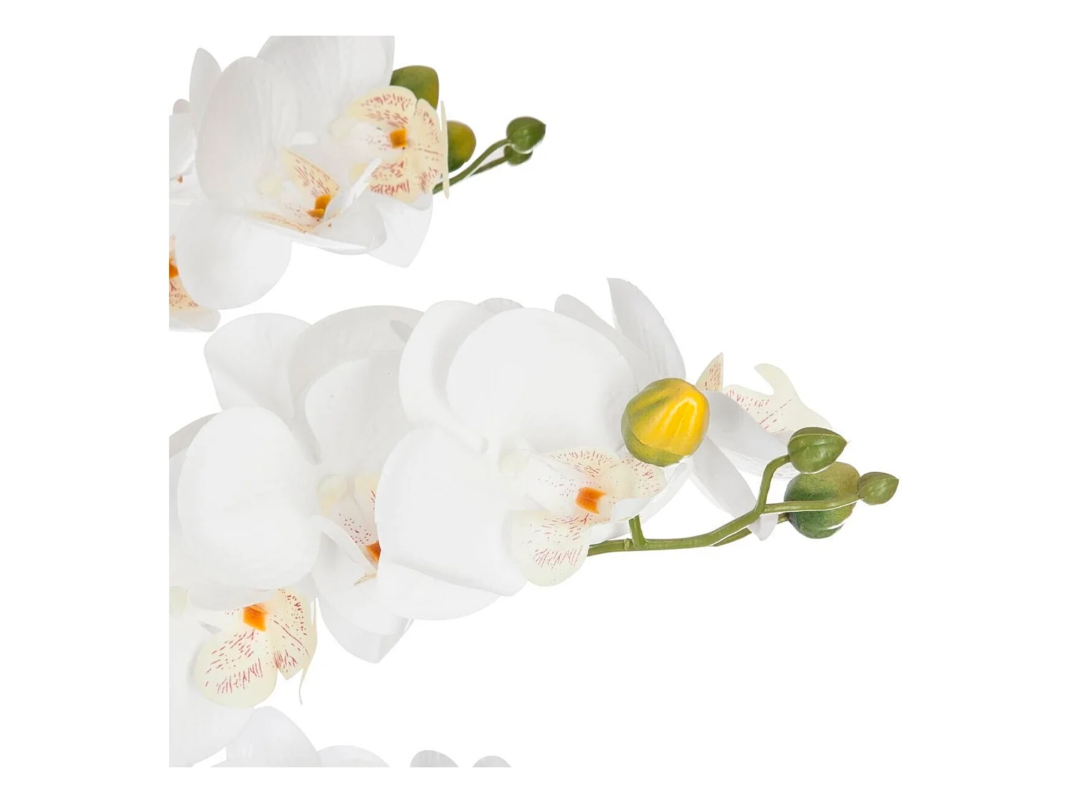 WELL HOME - Pot à orchidées en céramique blanche H65