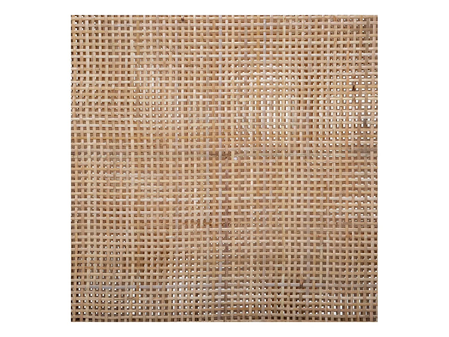 WELL HOME - Moustiquaire en osier hauteur 170