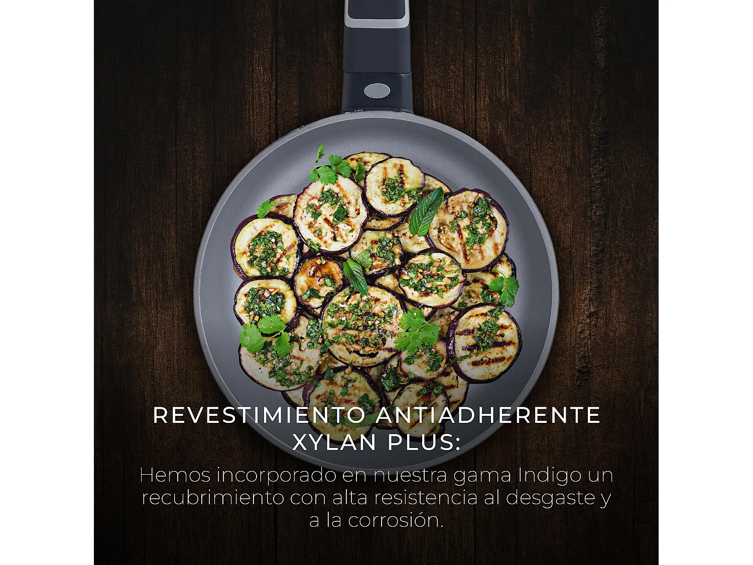 Lot de 2 poêles Ø20Ø26cm INDIGO en fonte d'aluminium antiadhésive MasterPRO