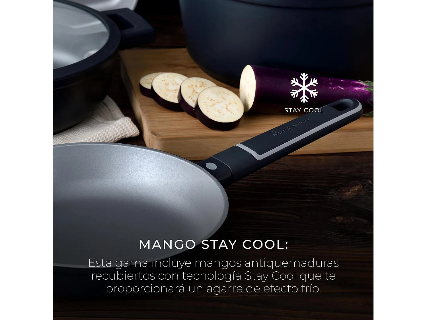 Lot de 2 poêles Ø20Ø26cm INDIGO en fonte d'aluminium antiadhésive MasterPRO