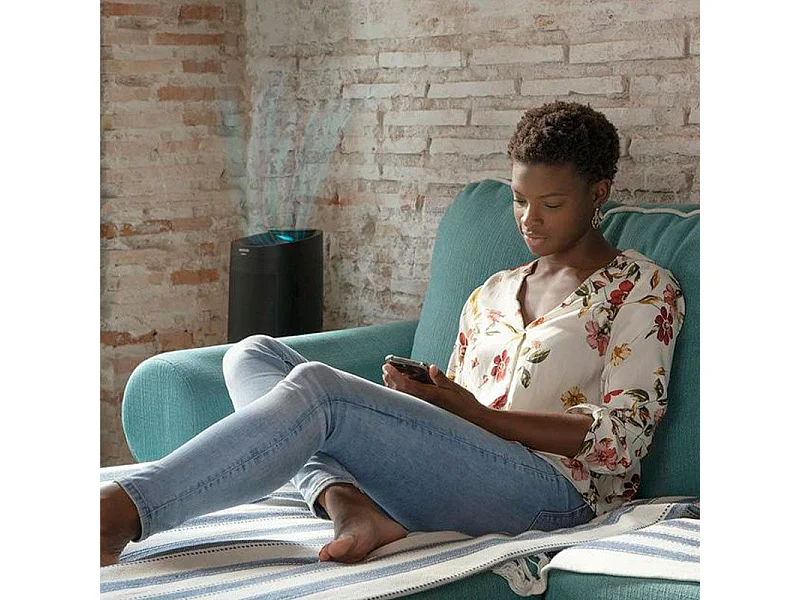 Deshumidificador Cecotec BigDry 3000 PureLight Black 45W 1L 3 filtros negro