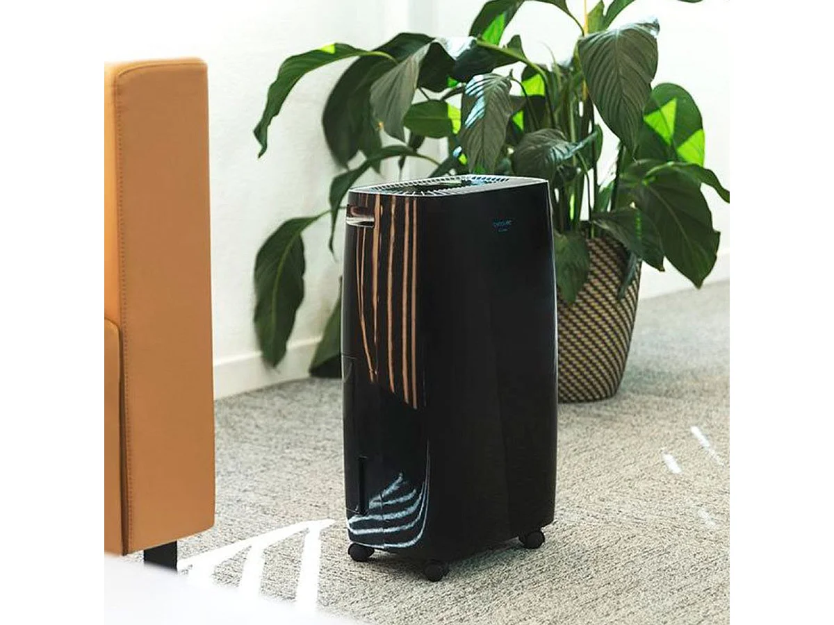 Deshumidificador Cecotec BigDry 4000 Expert 2,5L negro