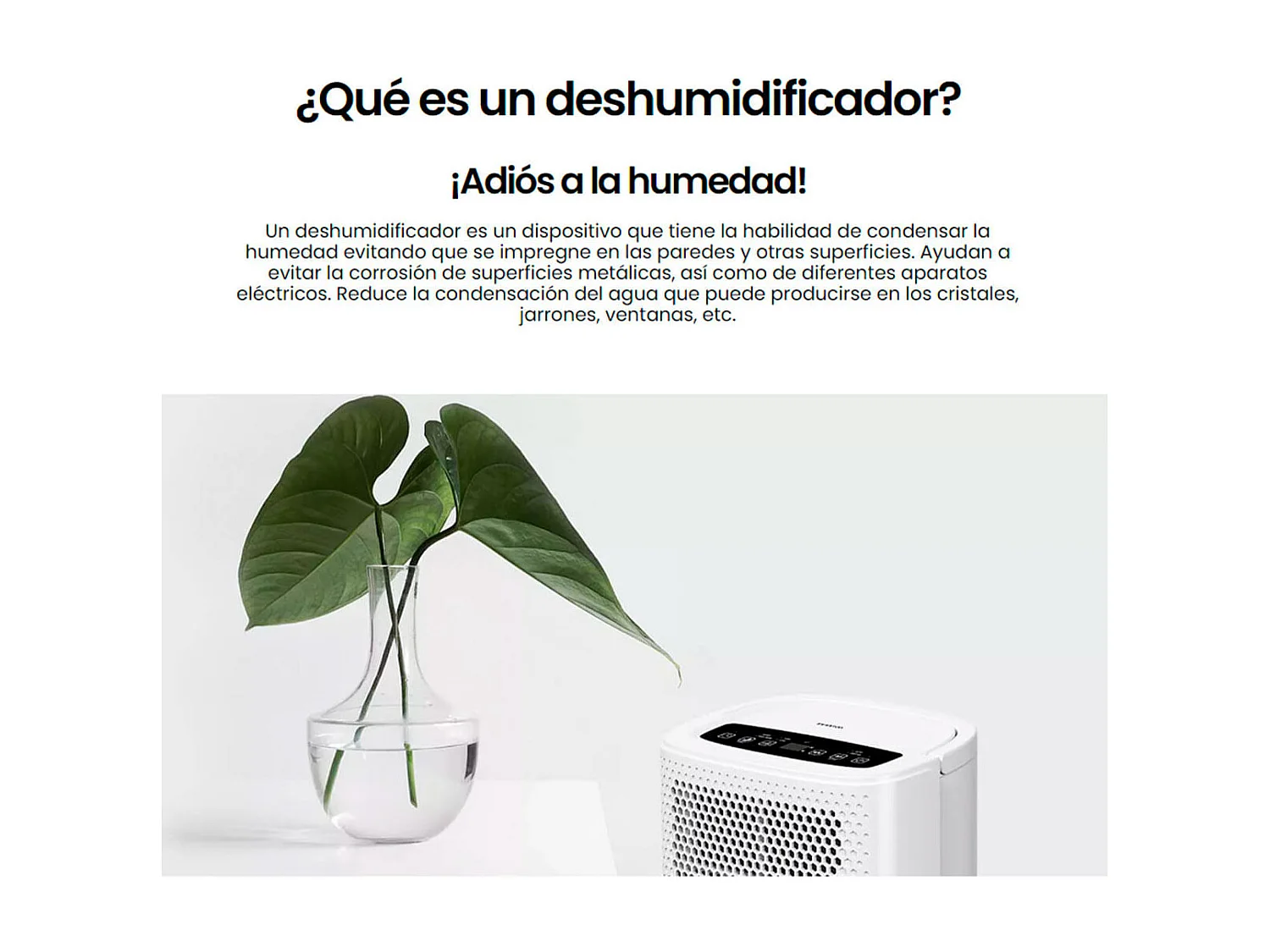 Deshumidificador Infiniton DHM-10L 200W 80m3/h blanco
